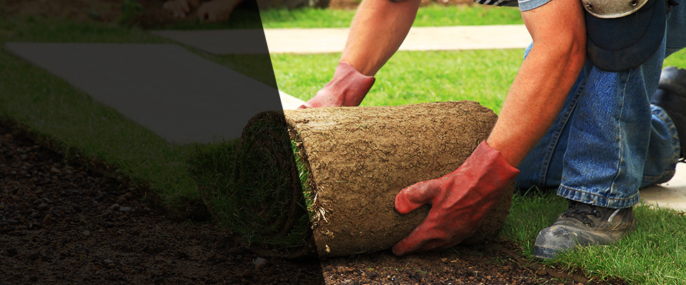 Merchantville Landscapers